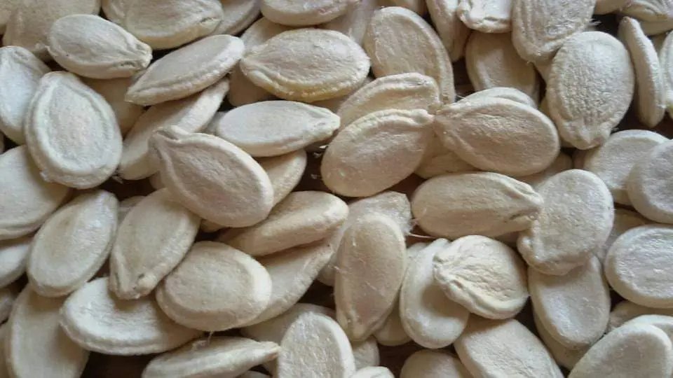 Watermelon Seeds